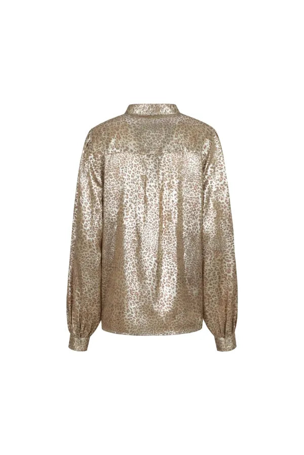 Linty Blouse
