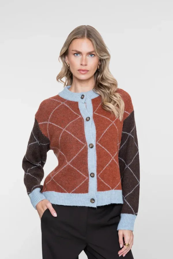 Vest Argyle